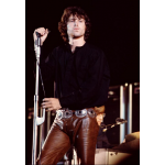 Get Jim Morrison Brown Leather Pants for Your Rock Star Look