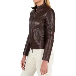 High Collar Dark Brown Leather Jacket
